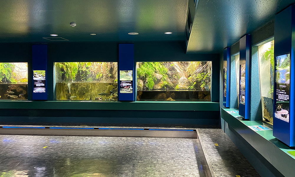 さいたま水族館 入場料が安い 池にサメもいる 埼玉県の水族館