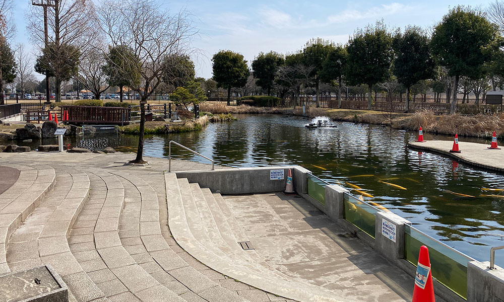さいたま水族館 入場料が安い 池にサメもいる 埼玉県の水族館